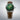 SEIKO WATCH PRESAGE COCKTAIL JDM 38.5MM HCB002J1 SEIKO PRESAGE
