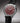 Frederique Constant Moneta Solarmetre 39mm FC-120BRG3S6 - Vincent Watch
