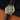 ORIENT BAMBINO 36MM RA-BB0103S - Vincent Watch