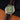 ORIENT BAMBINO 36MM RA-BB0103S - Vincent Watch
