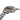 SEIKO WATCH POLYGONAL IN OCEAN GREY & BRONZE AUTOMATIC DIVER'S MEN WATCH 41.3MM SPB485J1 - Vincent Watch