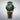 SEIKO WATCH PRESAGE COCKTAIL JDM 38.5MM HCB002J1 - Vincent Watch
