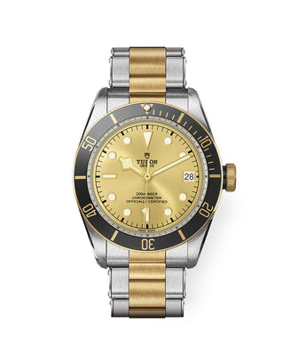 TUDOR Watch Black Bay 41mm M79733N - 0004 - Vincent Watch