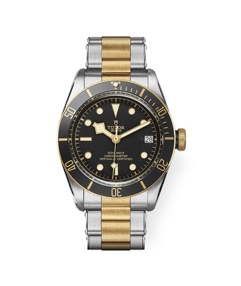 TUDOR Watch Black Bay 41mm M79733N - 0008 - Vincent Watch
