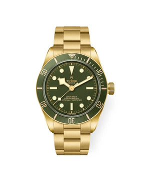 TUDOR Watch Black Bay 58 18K 39mm M79018V - 0006 - Vincent Watch