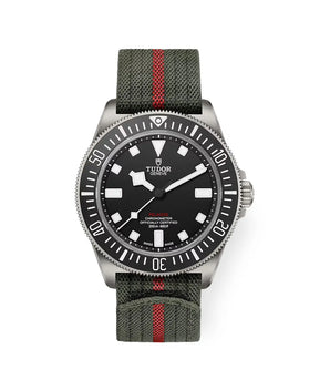 TUDOR Watch Pelagos FXD 42mm M25717N - 0001 - Vincent Watch