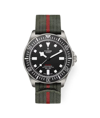 TUDOR Watch Pelagos FXD 42mm M25717N - 0001 - Vincent Watch