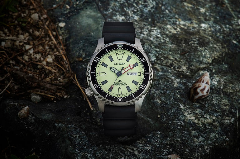 CITIZEN WATCH FUGU FULL LUME MARINE PROMASTER LIMITED EDITION 2000PCS NY0119-19X - Vincent Watch