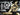 CASIO G - SHOCK WATCH STEEL BEZEL GM - 110G - 1A9DR - Vincent Watch