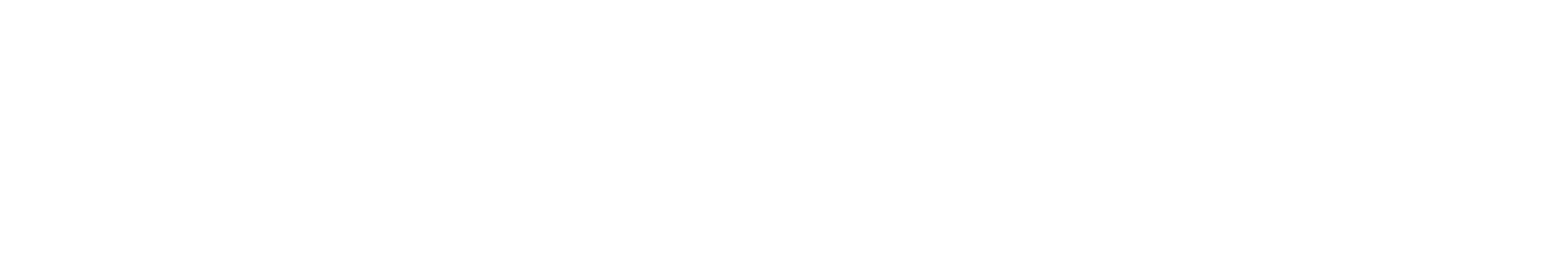 Vincent Watch