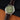 ORIENT BAMBINO 36MM RA-BB0102E ORIENT