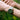 SEIKO 5 WATCH GMT SKX AUTOMATIC 39.4MM HDB001K1 - Vincent Watch