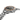 SEIKO WATCH POLYGONAL IN OCEAN GREY & BRONZE AUTOMATIC DIVER'S MEN WATCH 41.3MM SPB485J1 - Vincent Watch