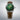 SEIKO WATCH PRESAGE COCKTAIL JDM 38.5MM HCB002J1 - Vincent Watch