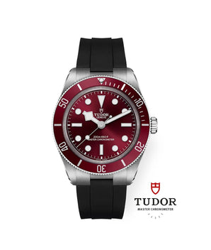 TUDOR Watch Black Bay 58 39mm M7939A1A0RU - 0003 - Vincent Watch